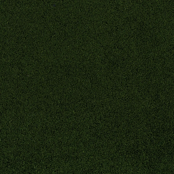 CASAMANCE_89992040.jpg