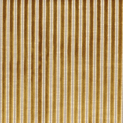 CASAMANCE_11630899.jpg