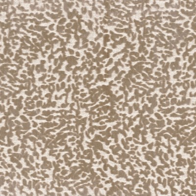 CASAMANCE_11640193.jpg