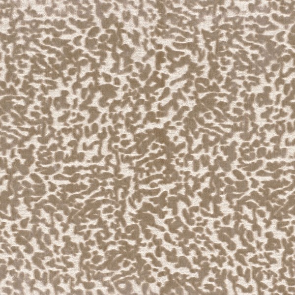 CASAMANCE_11640193.jpg