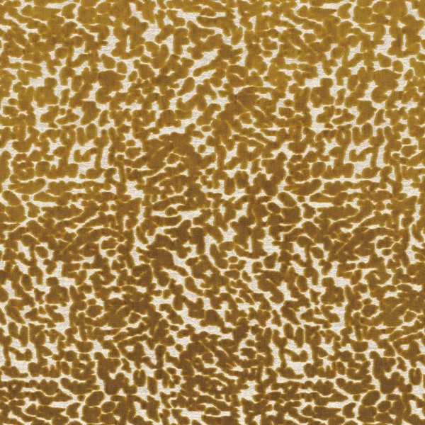 CASAMANCE_11640618.jpg