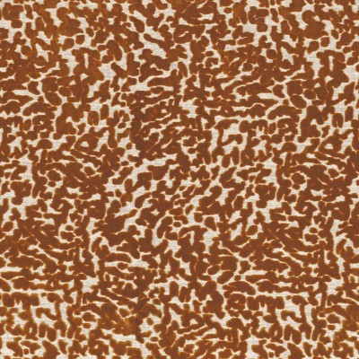 CASAMANCE_11640727.jpg