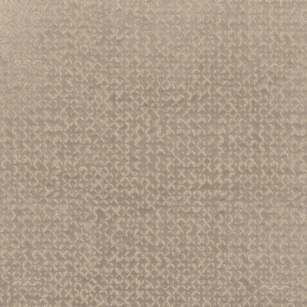 CASAMANCE_49960121.jpg