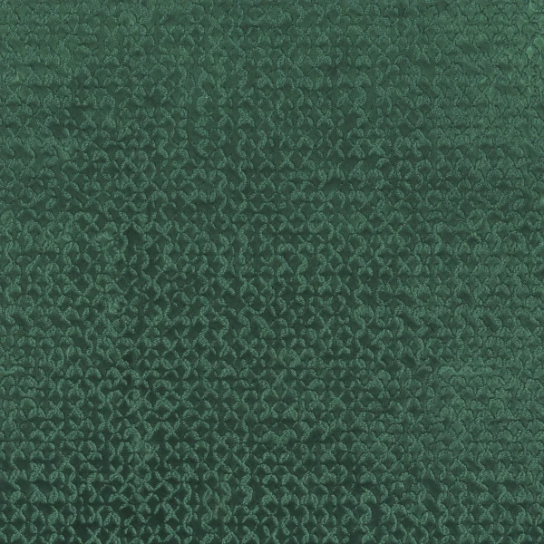 CASAMANCE_49960541.jpg