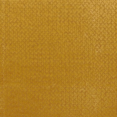 CASAMANCE_49960646.jpg