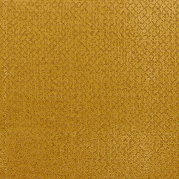 CASAMANCE_49960646.jpg