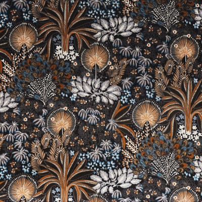 CASAMANCE_49970152.jpg