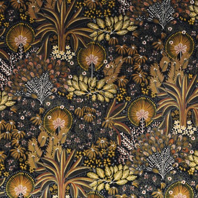 CASAMANCE_49970257.jpg
