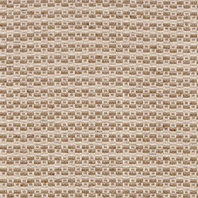 CASAMANCE_49850247.jpg