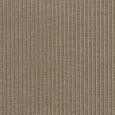 CASAMANCE_50250345.jpg