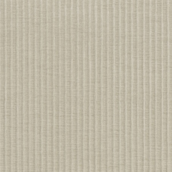 CASAMANCE_50250446.jpg