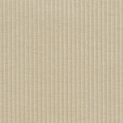 CASAMANCE_50250547.jpg