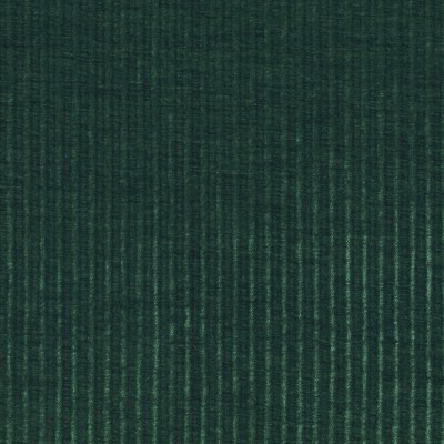 CASAMANCE_50251153.jpg