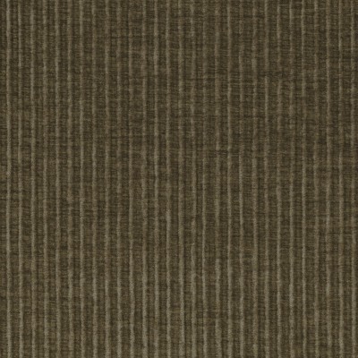 CASAMANCE_50251355.jpg