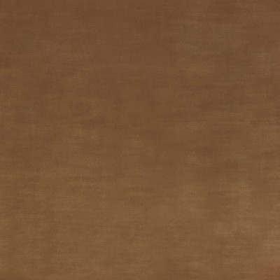 CASAMANCE_48480963.jpg