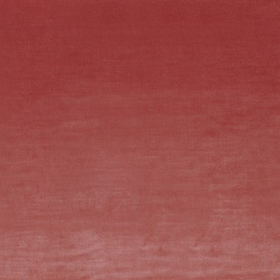 CASAMANCE_48481505.jpg