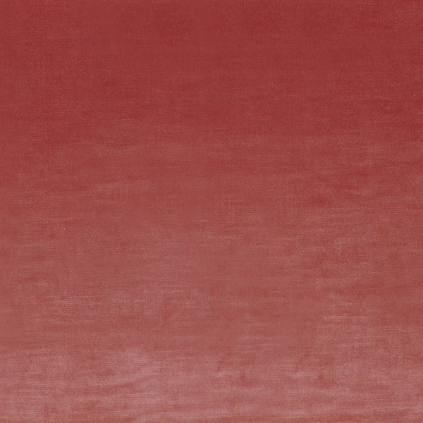 CASAMANCE_48481505.jpg