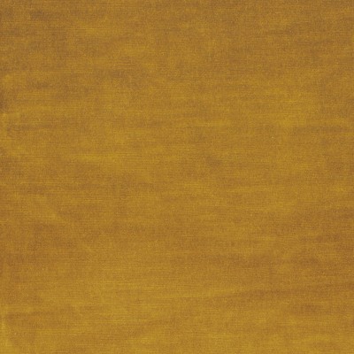 CASAMANCE_48482789.jpg