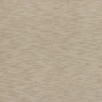 CASAMANCE_39380403.jpg