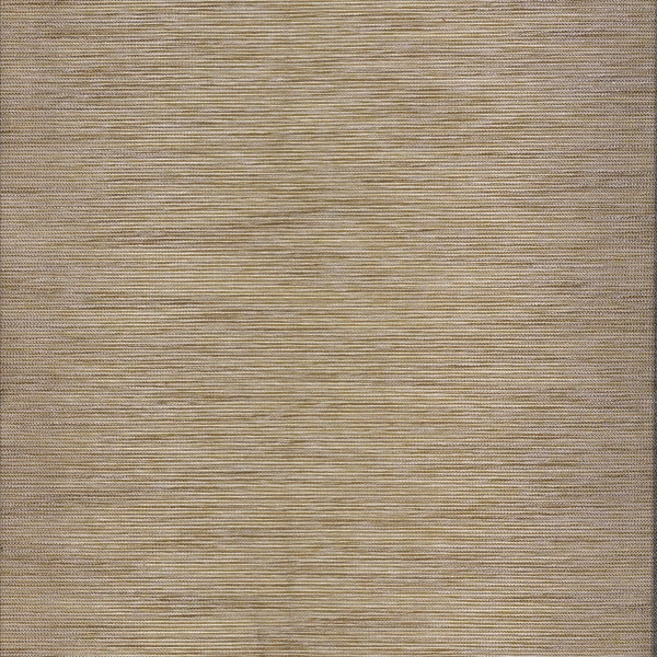 CASAMANCE_39410525.jpg