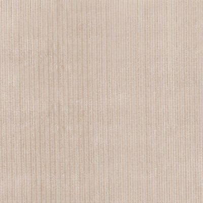 CASAMANCE_48530125.jpg