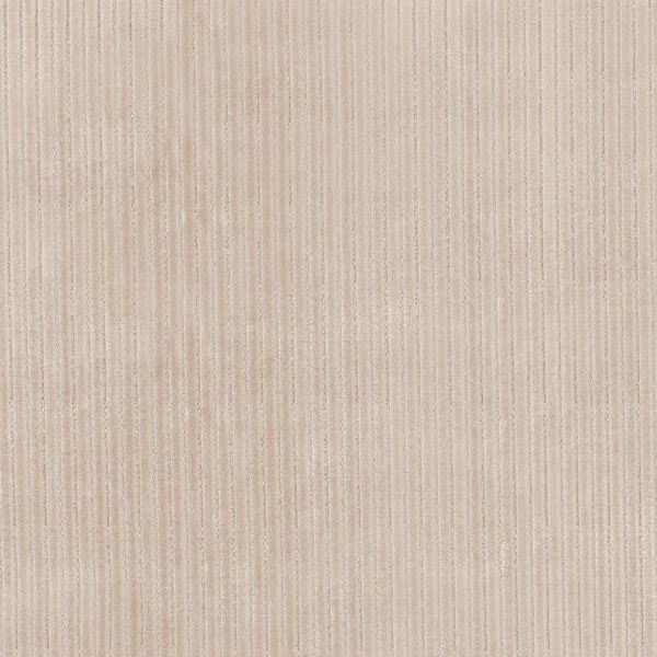 CASAMANCE_48530125.jpg