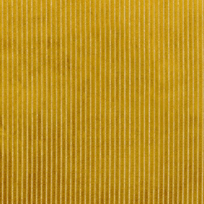 CASAMANCE_48530513.jpg