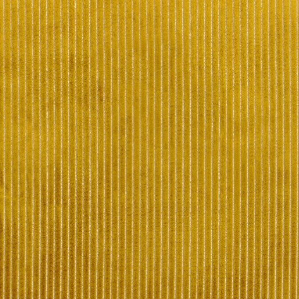 CASAMANCE_48530513.jpg