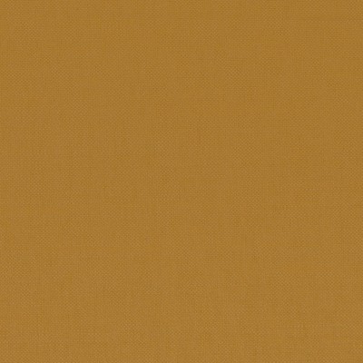 CASAMANCE_36113719.jpg