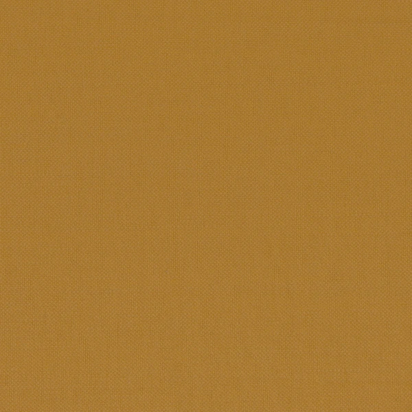 CASAMANCE_36113719.jpg