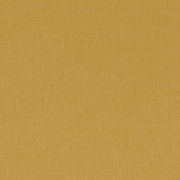 CASAMANCE_36150199.jpg