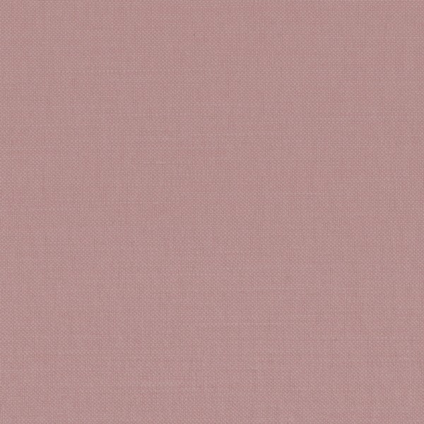 CASAMANCE_36156819.jpg