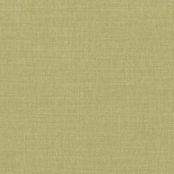CASAMANCE_36159025.jpg
