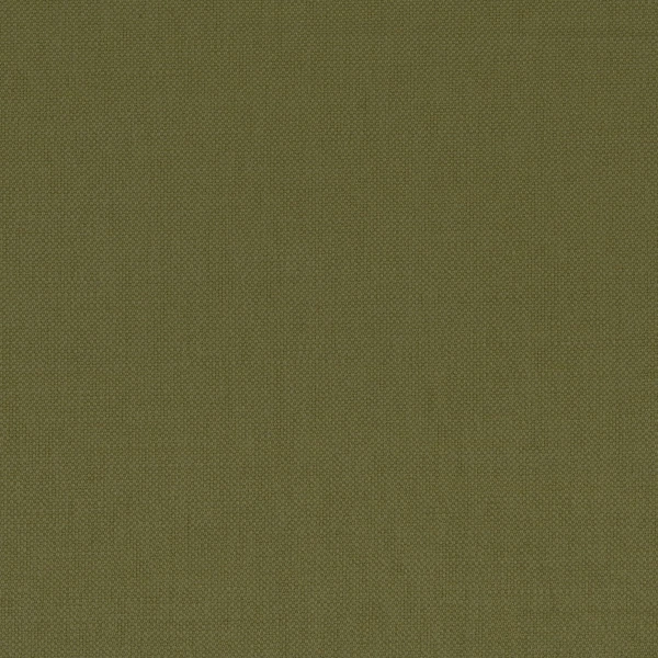 CASAMANCE_36159267.jpg