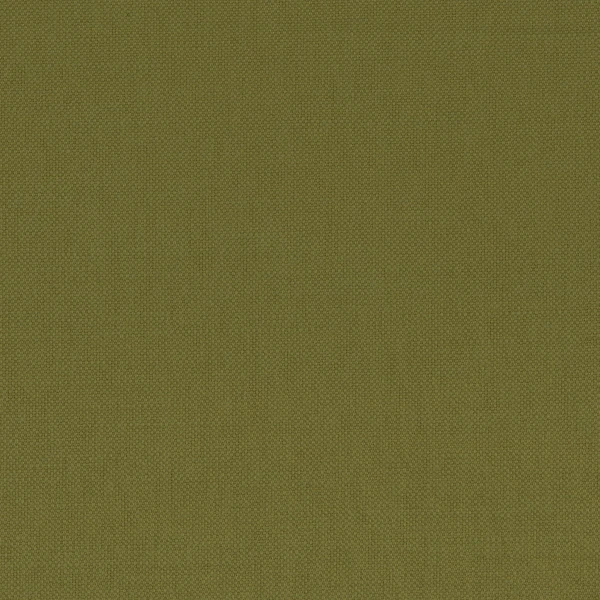 CASAMANCE_36159394.jpg