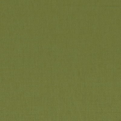 CASAMANCE_36159428.jpg