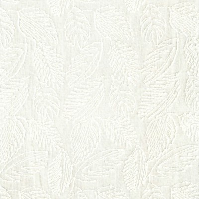 CASAMANCE_47480134.jpg