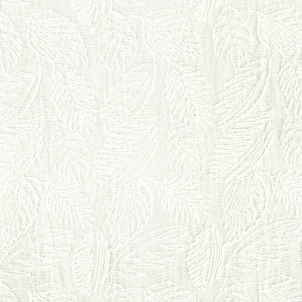 CASAMANCE_47480134.jpg