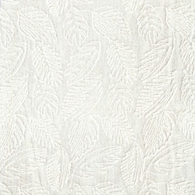 CASAMANCE_47480227.jpg