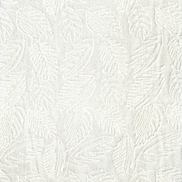 CASAMANCE_47480227.jpg