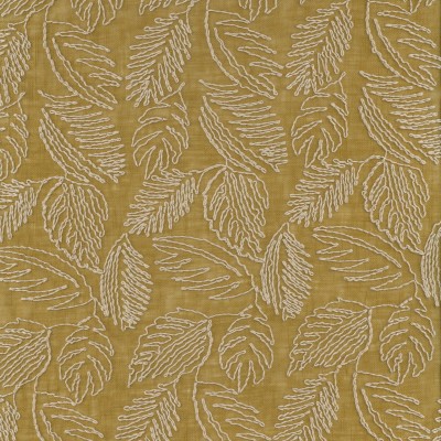 CASAMANCE_47480409.jpg
