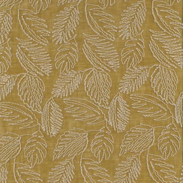 CASAMANCE_47480409.jpg