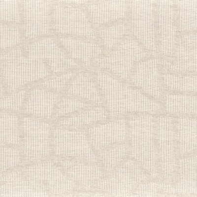 CASAMANCE_45950269.jpg