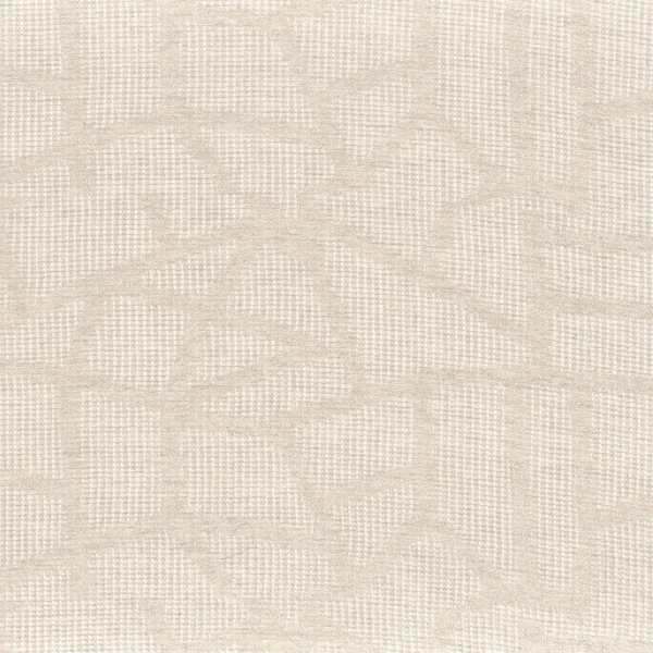 CASAMANCE_45950269.jpg