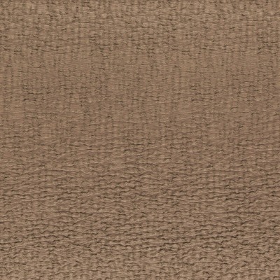 CASAMANCE_41310514.jpg