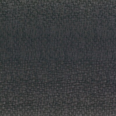 CASAMANCE_41310615.jpg