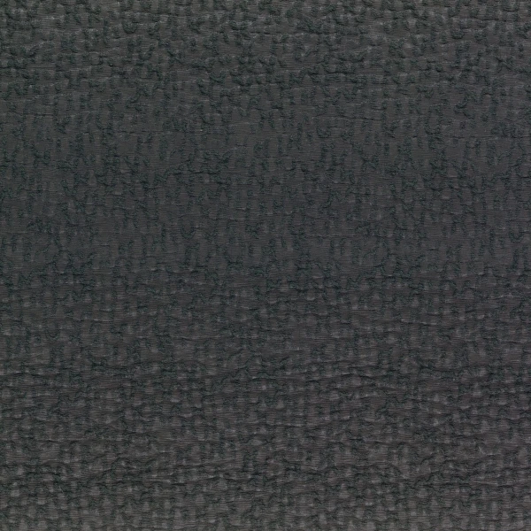 CASAMANCE_41310615.jpg