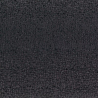 CASAMANCE_41310716.jpg