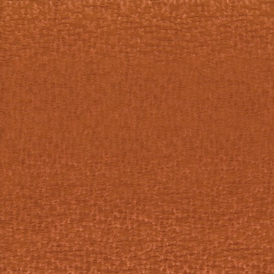 CASAMANCE_41311726.jpg