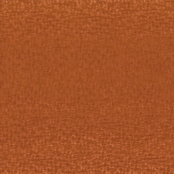 CASAMANCE_41311726.jpg